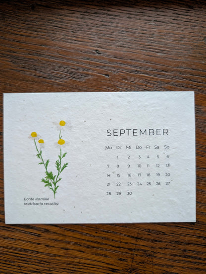 Einpflanzbarer Tisch-Kalender 2026