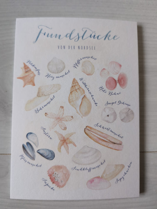 Postkarte "Fundstücke VON DER NORDSEE"