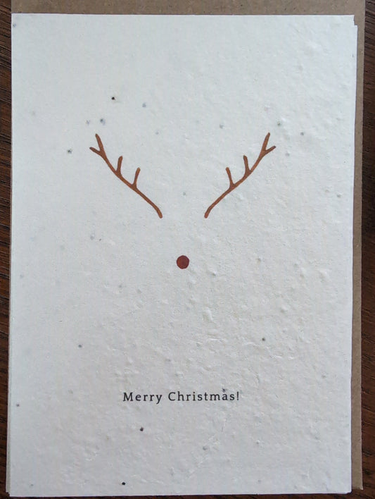 Einpflanzbare Grußkarte mit Umschlag MERRY CHRISTMAS!