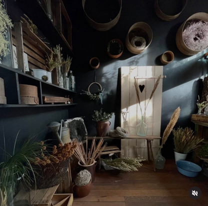 midnight black Matt Emulsion