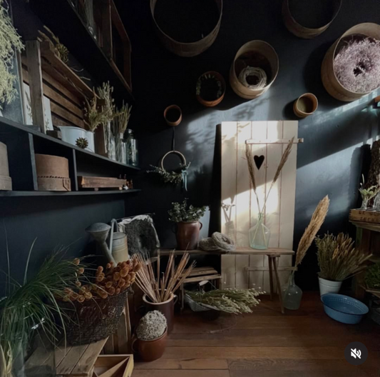 midnight black Matt Emulsion