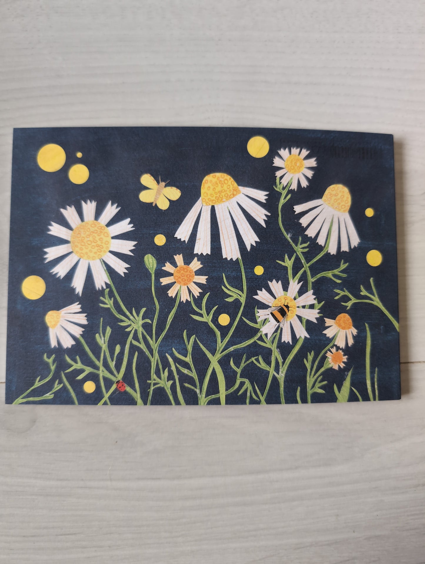 Postkarte "Kamille auf der Wiese"