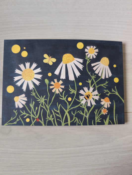 Postkarte "Kamille auf der Wiese"