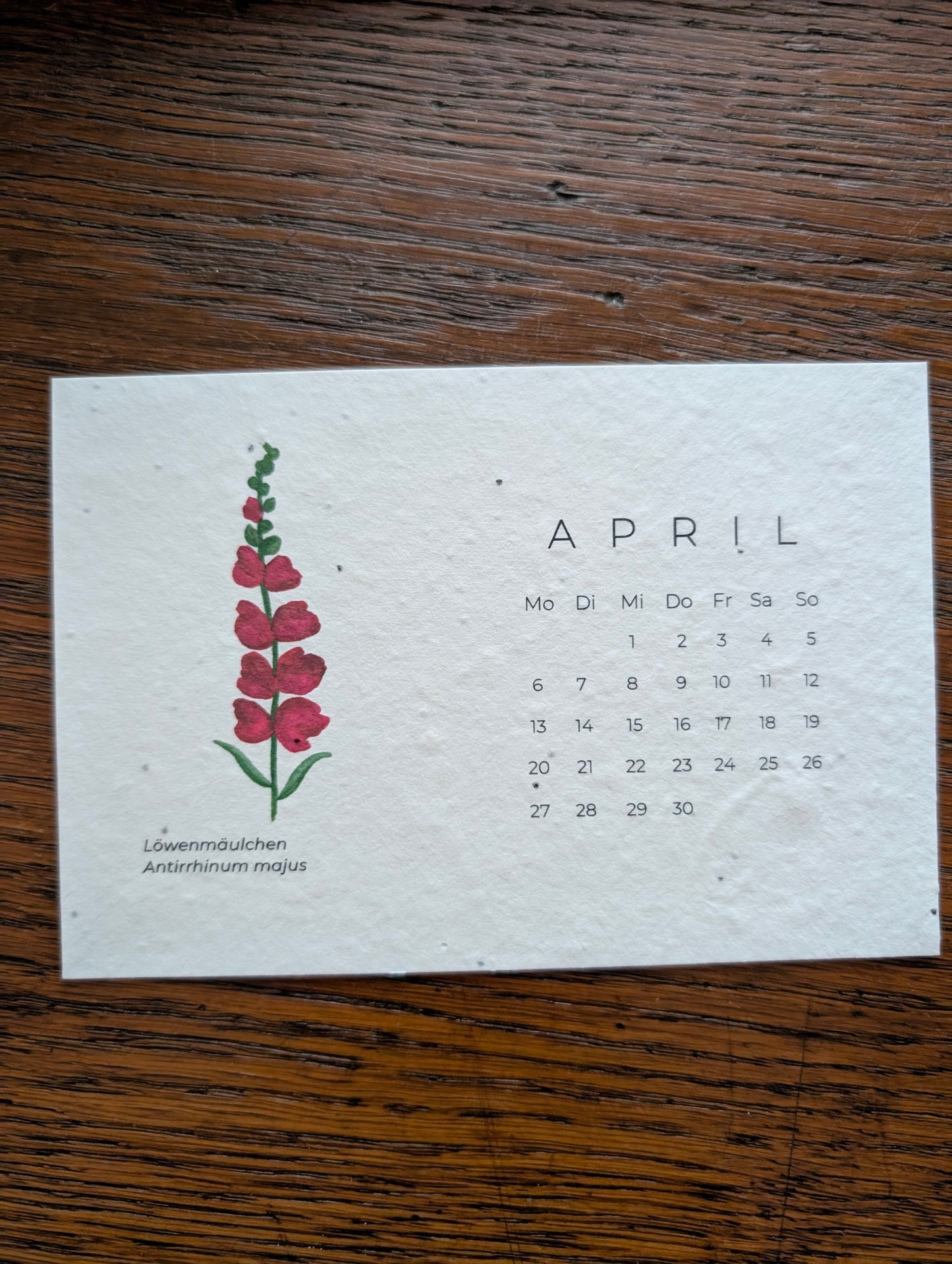 Einpflanzbarer Tisch-Kalender 2026