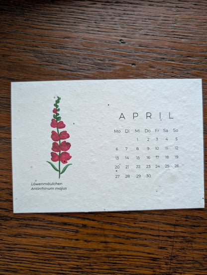 Einpflanzbarer Tisch-Kalender 2026