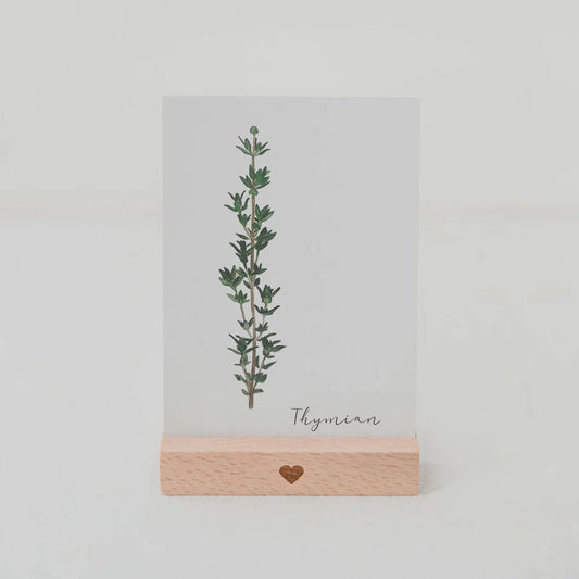 Postkarte Thymian