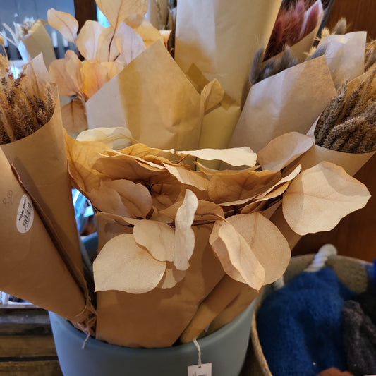 Trockenblumen