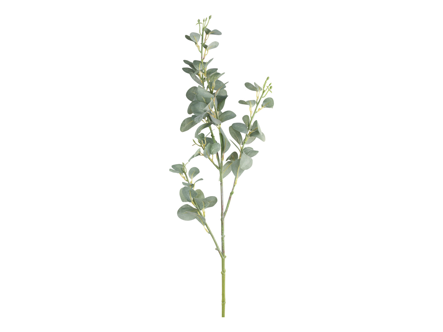 Kunstblume Eucalyptuszweig