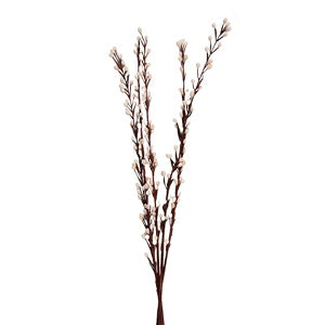 Trockenblumen