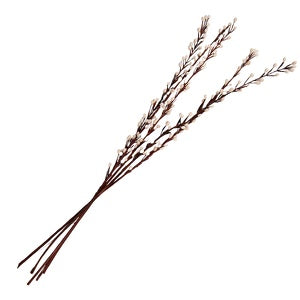 Trockenblumen