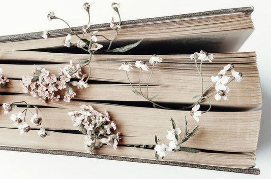 Country Diary