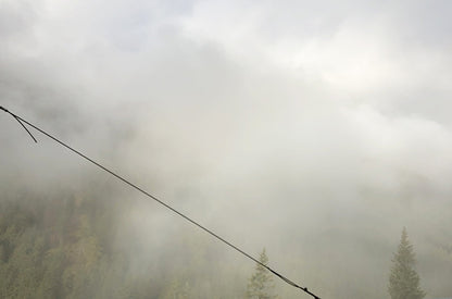 Mist