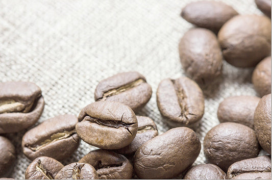 Mocha