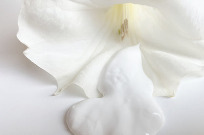 Pure White (wird zu WHITE NO. 1)