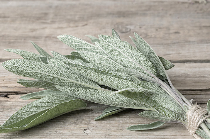 Sage