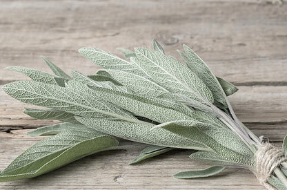 Sage