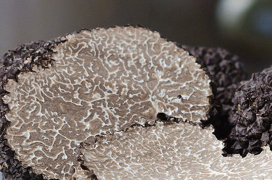 Truffle